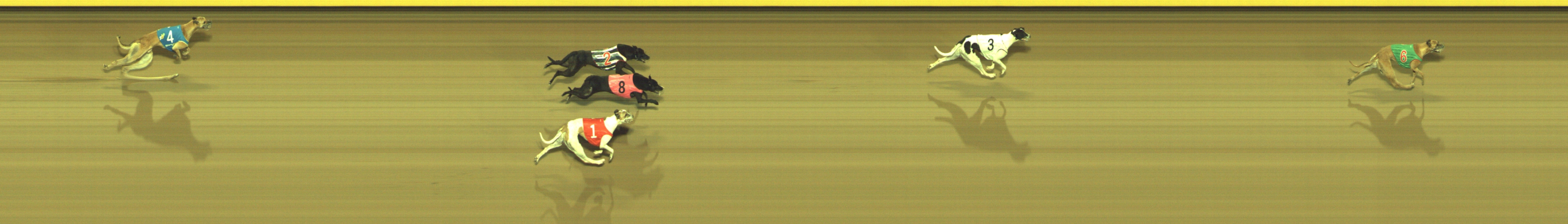 Race result finish photo